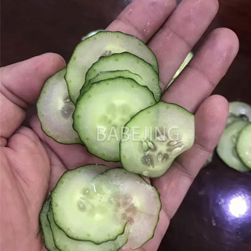 Electric Mini Scallion Chopper - Kitchen Appliances Electric recension och pris