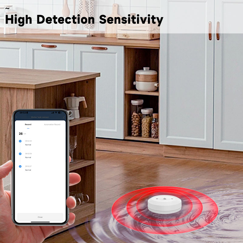 Tuya ZigBee Smart Water Leak S - Kitchen Appliances Video recension och pris