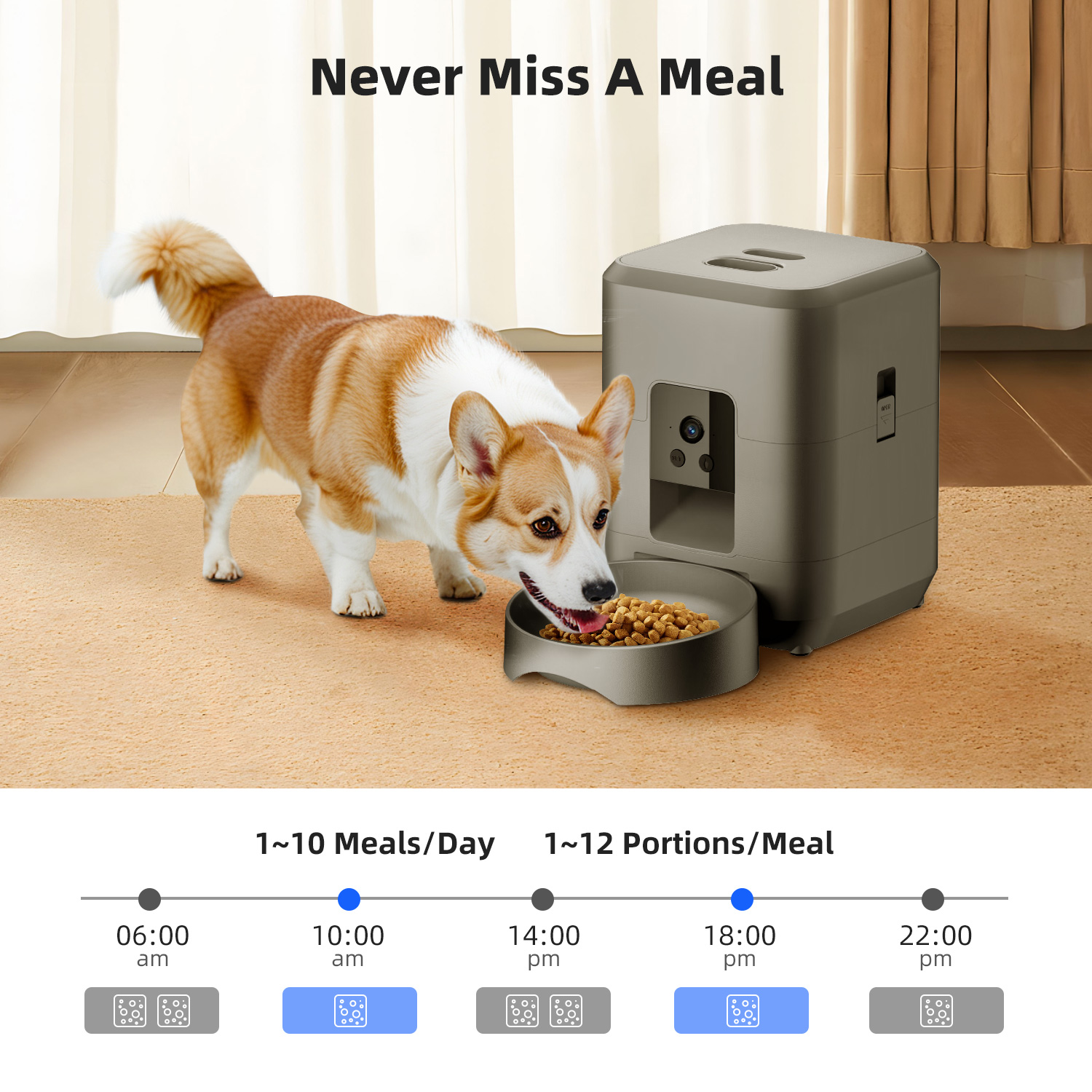 2L Automatic Pet Feeder Cat Sm - Kitchen Appliances Video recension och pris