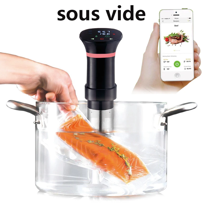220V Sous Vide Precision Cooke - Sous Vide Immersion recension och pris