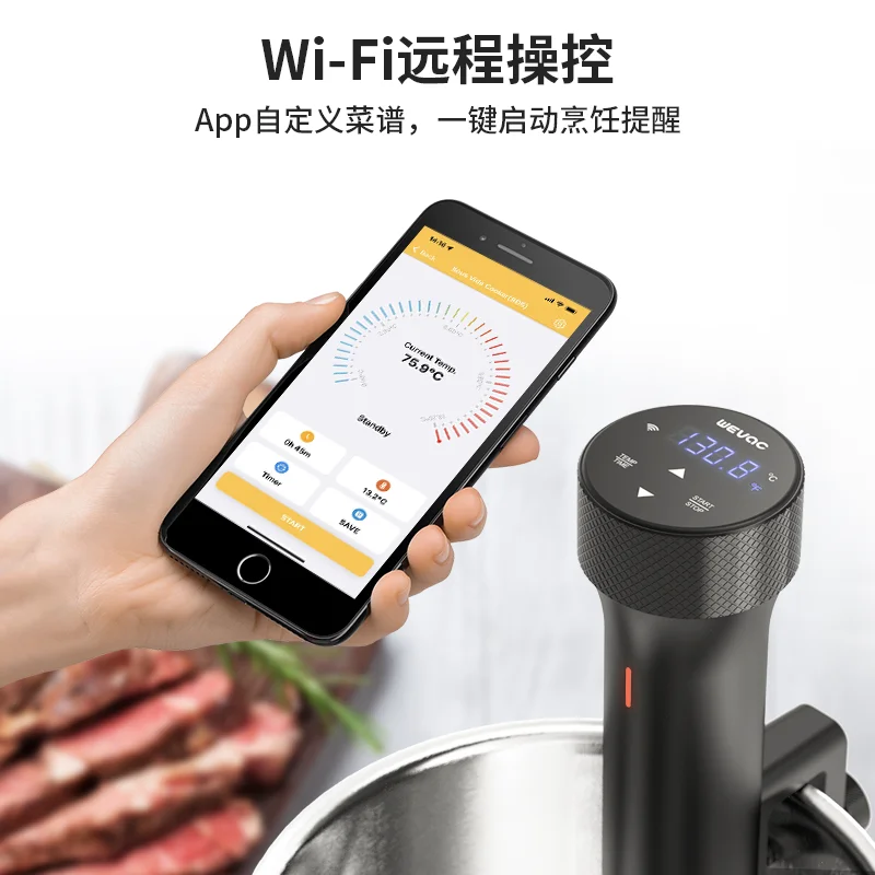110V/220V WEVAC Sous Vide Prec - Sous Vide Immersion recension och pris