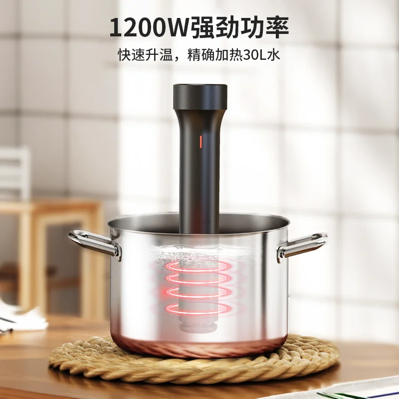 110V/220V WEVAC Sous Vide Prec - Sous Vide Immersion recension och pris