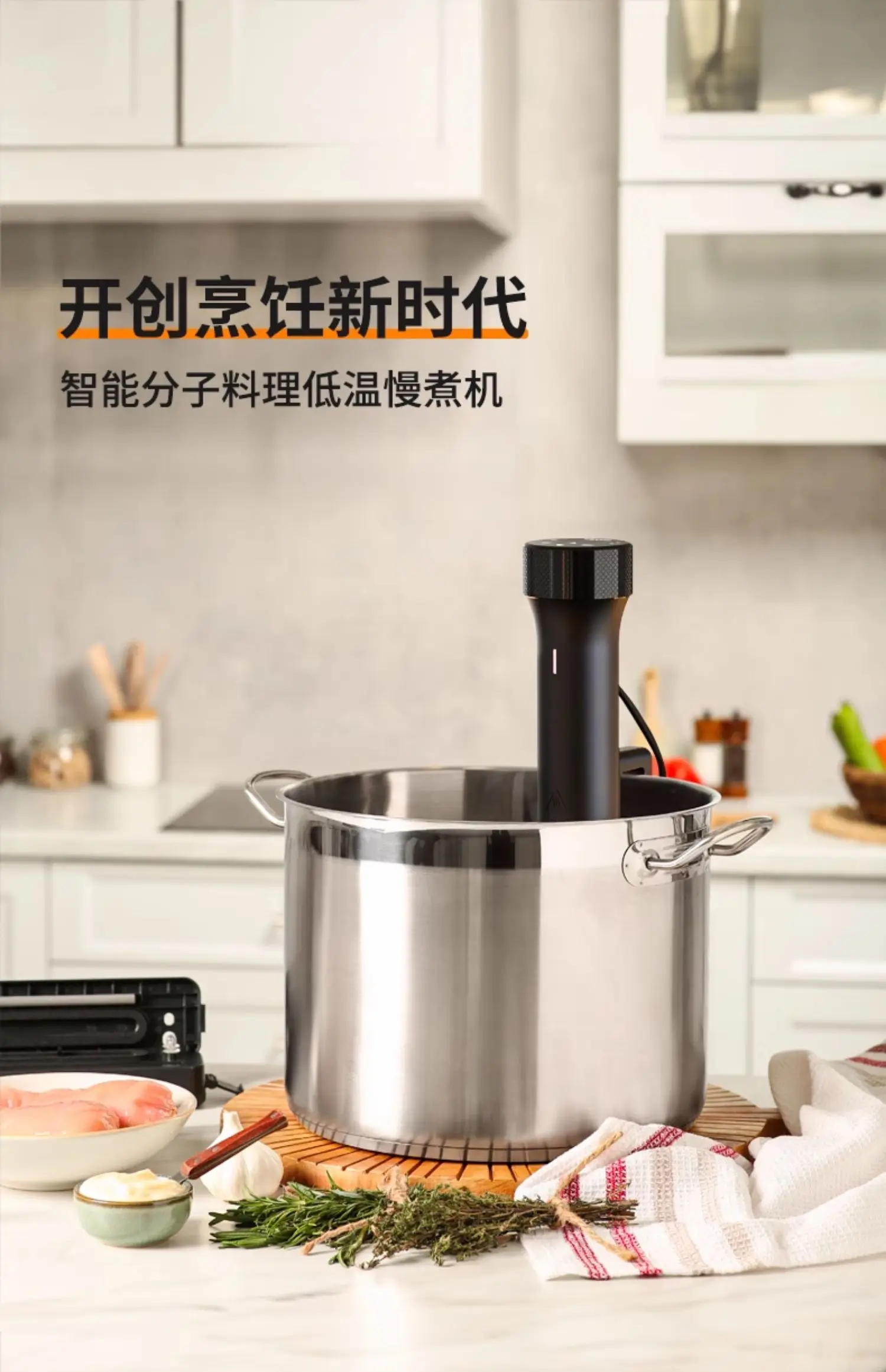 110V/220V WEVAC Sous Vide Prec - Sous Vide Immersion recension och pris