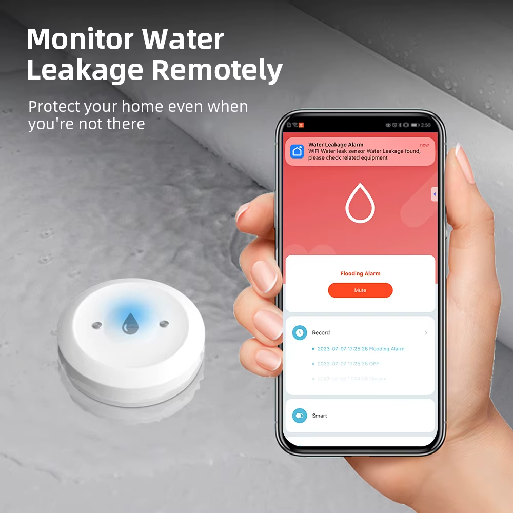 ZigBee Smart Water Leak Sensor - Kitchen Appliances Video recension och pris